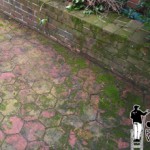Brick Pressure Washing